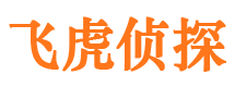 金溪市调查公司